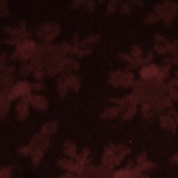 /album/anotherblog/blog2-jpg/